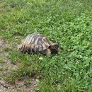 서일정비 | 발칸반도 자전거여행(크로아티아, 몬테네그로, 알바니아, 그리스)