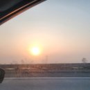 느티나무공인중개사사무소 이미지