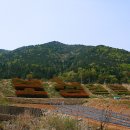 용추계곡입구 주차장 이미지