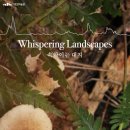 아르코미술관 이미지