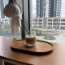 달빛아래 | 인천 송도 신상 애견카페, 달빛아래펫카페 방문 후기