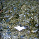 기픈골황토마루 이미지