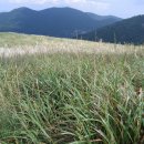 성학농장 이미지