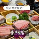 송프로참치