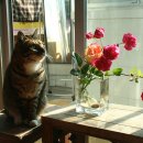 군포경찰서 이미지