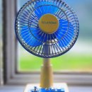 금성다방 이미지