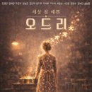 에이엔컴퍼니