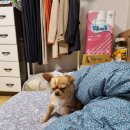 굿짐 이미지
