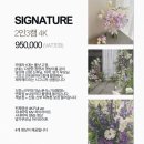 Like(라이크)호텔 | W11. 엠버서더 풀만 본식 dvd 라이크필름 예약 후기 | 추천이유 할인 짝꿍코드