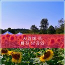 대진세탁소 이미지