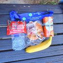 다대포해수욕장역 | 2025 국제신문 부산마라톤 대회 후기(다대포해수욕장)