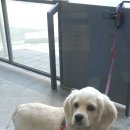 밴스동물병원 이미지