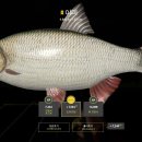 엠버농장 이미지