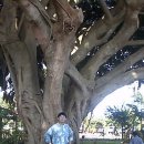 상표농장 이미지