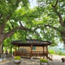 농암로(예안면) 이미지