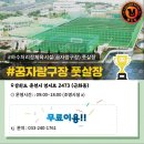 생활체육(의암)공원 이미지