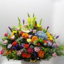 세곡햇빛어린이집 이미지