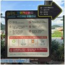 진위천 | [경기/평택] 진위천 유원지 취사 가능한 당일치기 피크닉 후기
