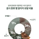 미르동물병원 이미지