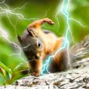 기장해안로 136 이미지