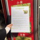 상하이 2박 3일 여행코스 맛집 명소 야경 총정리 ZIP