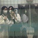 사파동239 | March