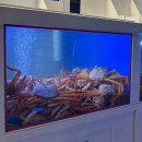 유강한의원 | 2월 2주: 명절은 뱃살을 타고