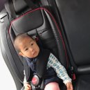 위즈파파 이미지