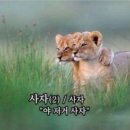 하리마케팅 | T1X에이블리 뷰티에디션 굿즈+T1마트료시카 도착+텀블벅 서농 비취연가: 매듭허리띠 후기(옥목걸이당첨)