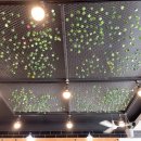 홍춘천치즈닭갈비 봉곡공원점 이미지