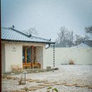 스테이 띠앗 이미지