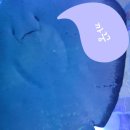 설악산상회 이미지
