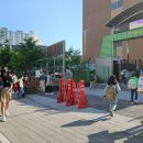 새봄초등학교 이미지