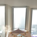 스테이21