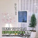 드피엘피부연구소