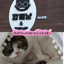 함께냥 앤 함께냥품 북수원점 이미지