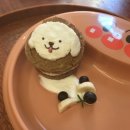 니나노 제주 이미지