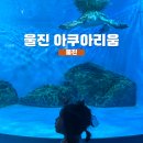 관등 | 경북 울진 아이랑 가볼만한 곳 울진 아쿠아리움 방문 후기!