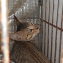 읍내2로 이미지