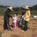 풍성한농장 이미지