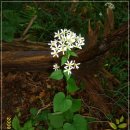 하늘정원1 이미지