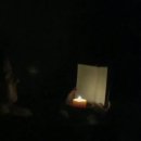 영화농산물 이미지