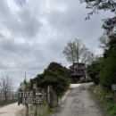 오산마트민박 | 서울 근교 감성 숙소 평택 트리하우스 톰소여 객실, 수영장, 바베큐, 택시 이용