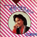 뽕짝나이트