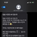 쇼어261
