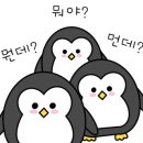 호주에서온스시두정점