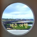 신나는공동작업장 | [제주바다 돌고래떼 후기🐬] 제주도 당일치기 혼자 뚜벅이 여행<조천에서 구좌까지> 일정, 경비 공유