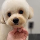 (주)바우라움 수원 캠퍼스 이미지