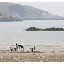 위도해수욕장 이미지