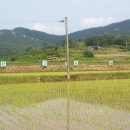 유기농마을 이미지